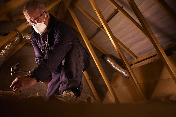 Best Spray Foam Insulation in Remlap, AL